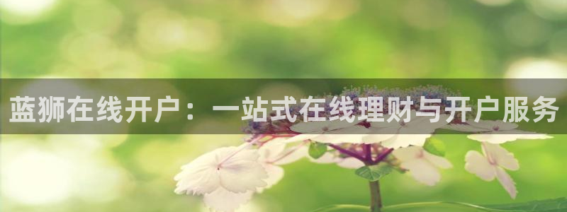 赢咖：蓝狮在线开户：一站式在线理财与开户服务
