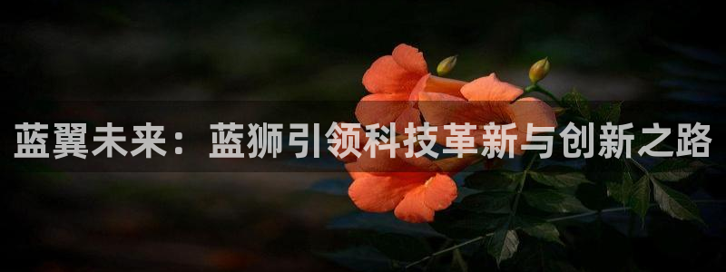赢咖体育注册：蓝翼未来：蓝狮引领科技革新与创新之路