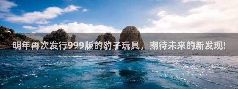 赢咖体育注册登录入口：明年再次发行999版的豹子玩具，期待未来的新发现!