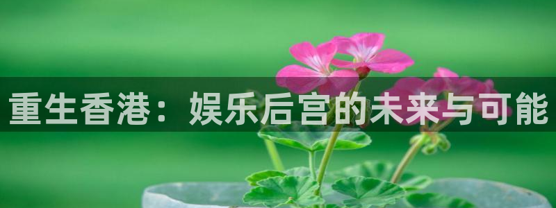 赢咖平台官网：重生香港：娱乐后宫的未来与可能