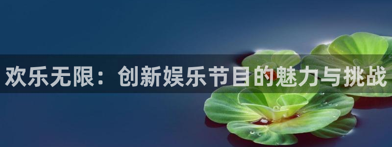 赢咖4代理：欢乐无限：创新娱乐节目的魅力与挑战