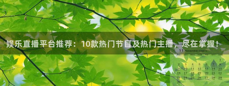 赢咖体育平台注册：娱乐直播平台推荐：10款热门节目及热门主播，尽在掌握！