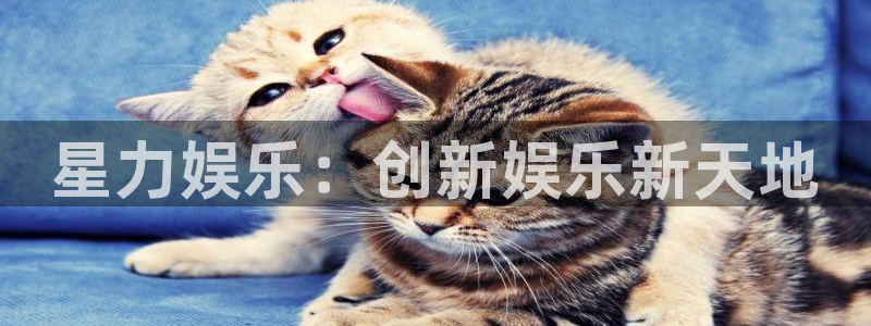 赢咖凯捷平台注册链接：星力娱乐：创新娱乐新天地