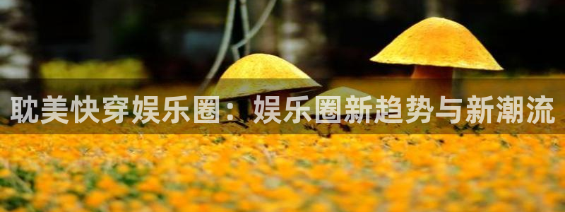赢咖4开户：耽美快穿娱乐圈：娱乐圈新趋势与新潮流