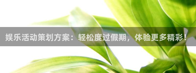 德国赢咖集团：娱乐活动策划方案：轻松度过假期，体验更多精彩！