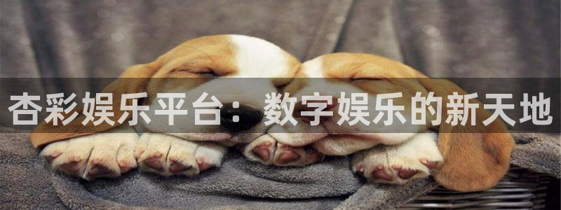 赢咖体育平台总代理：杏彩娱乐平台：数字娱乐的新天地
