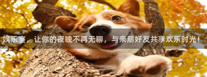 赢咖登陆：娱乐室，让你的夜晚不再无聊，与亲朋好友共享欢乐时光！
