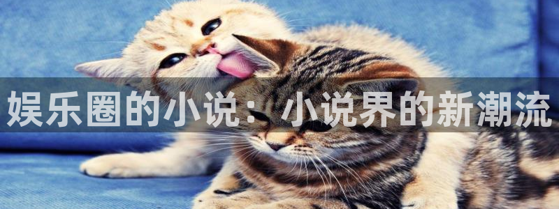 赢咖体育注册登录入口：娱乐圈的小说：小说界的新潮流