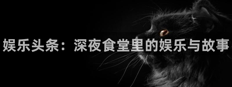 赢咖登录界面入口：娱乐头条：深夜食堂里的娱乐与故事