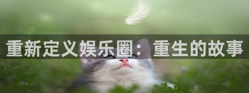 赢咖2官网：重新定义娱乐圈：重生的故事