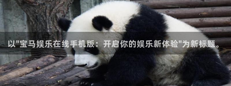 www.赢咖体育.com：以\