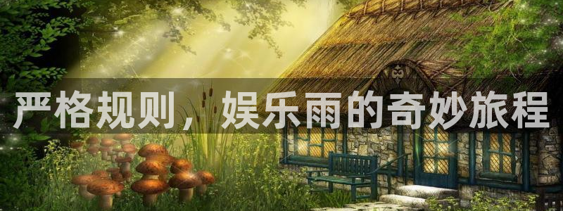 赢咖体育网页版入口：严格规则，娱乐雨的奇妙旅程