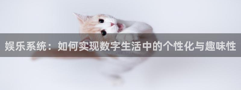 赢咖体育凯捷平台注册：娱乐系统：如何实现数字生活中的个性化与趣味性