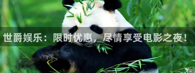 赢咖平台招商：世爵娱乐：限时优惠，尽情享受电影之夜！