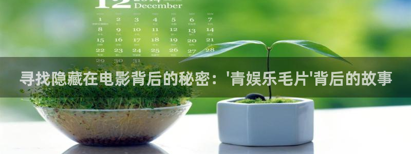 赢咖体育用品：寻找隐藏在电影背后的秘密：\'青娱乐毛片\'背后的故事
