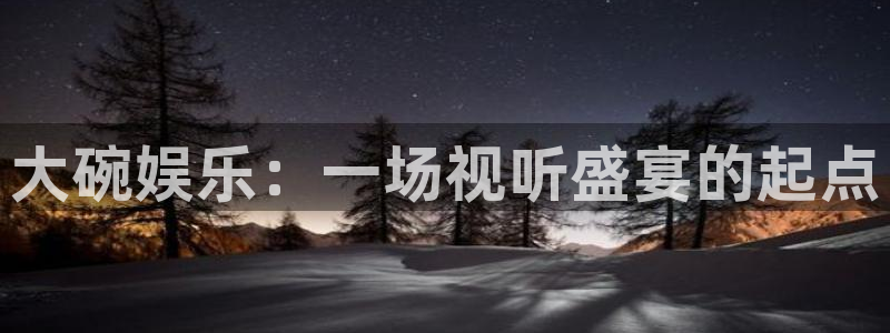 赢咖平台注册：大碗娱乐：一场视听盛宴的起点