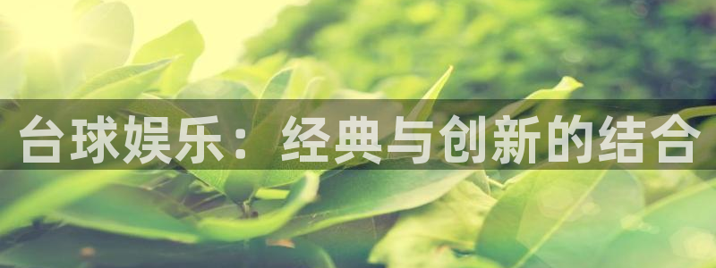赢咖体育注册：台球娱乐：经典与创新的结合