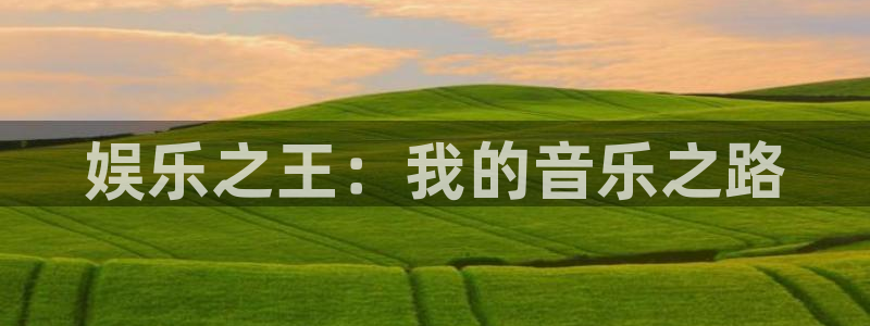 赢咖3：娱乐之王：我的音乐之路