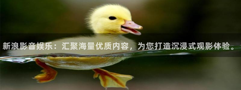 赢咖体育注册平台：新浪影音娱乐：汇聚海量优质内容，为您打造沉浸式观影体验。