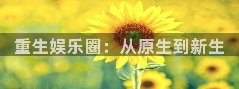 赢咖集团：重生娱乐圈：从原生到新生