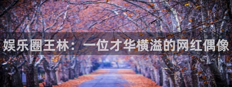 赢咖平台在线开户