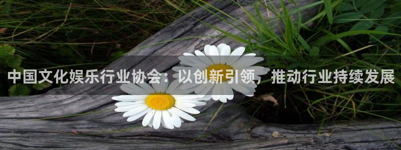 赢咖4代理：中国文化娱乐行业协会：以创新引领，推动行业持续发展