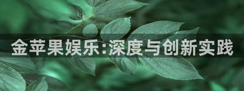 赢咖3注册：金苹果娱乐:深度与创新实践