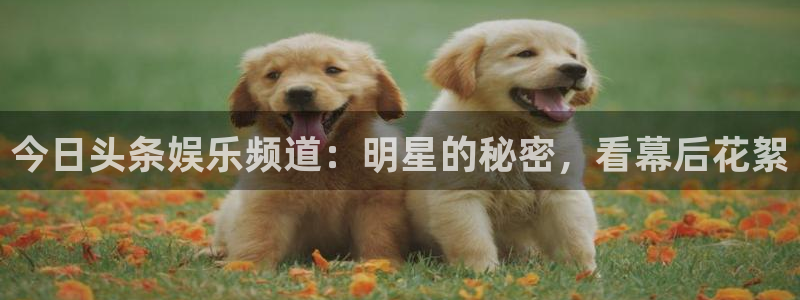 赢咖电子有限公司：今日头条娱乐频道：明星的秘密，看幕后花絮