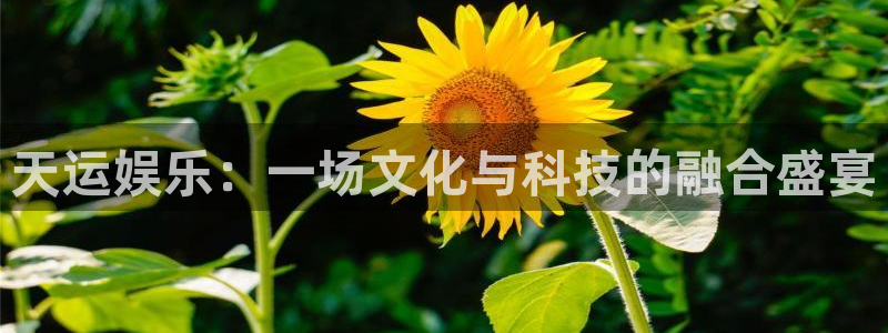 赢咖体育代理：天运娱乐：一场文化与科技的融合盛宴