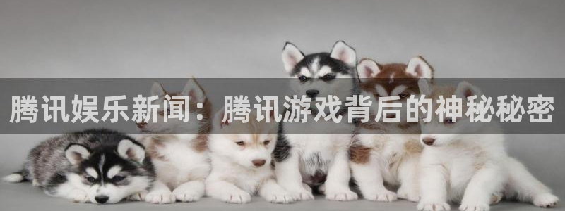 赢咖3登录：腾讯娱乐新闻：腾讯游戏背后的神秘秘密