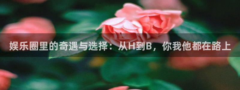 赢咖体育注册平台：娱乐圈里的奇遇与选择：从H到B，你我他都在路上