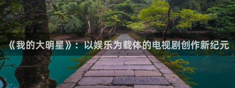 赢咖集团官网：《我的大明星》：以娱乐为载体的电视剧创作新纪元