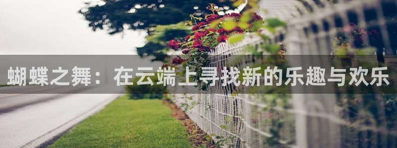 赢咖体育合法嘛：蝴蝶之舞：在云端上寻找新的乐趣与欢乐