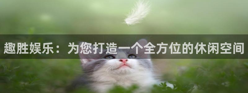 德国赢咖集团：趣胜娱乐：为您打造一个全方位的休闲空间